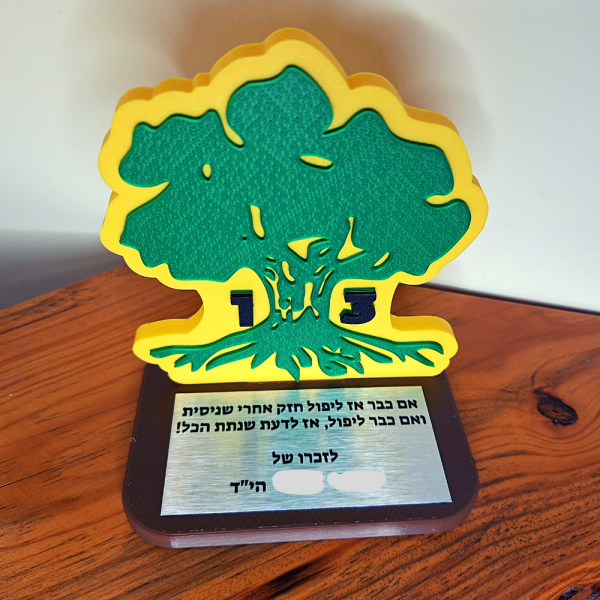 מגן חטיבת גולני גדוד 13 – רומטק 3D