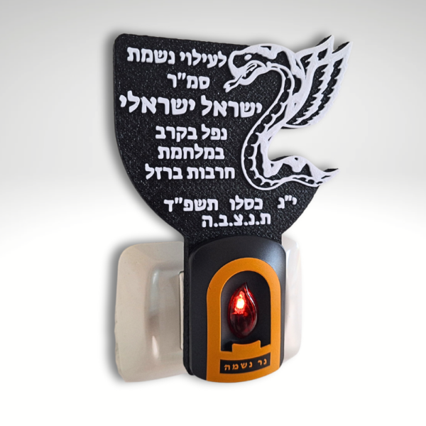 הנצחה חללי הצנחנים