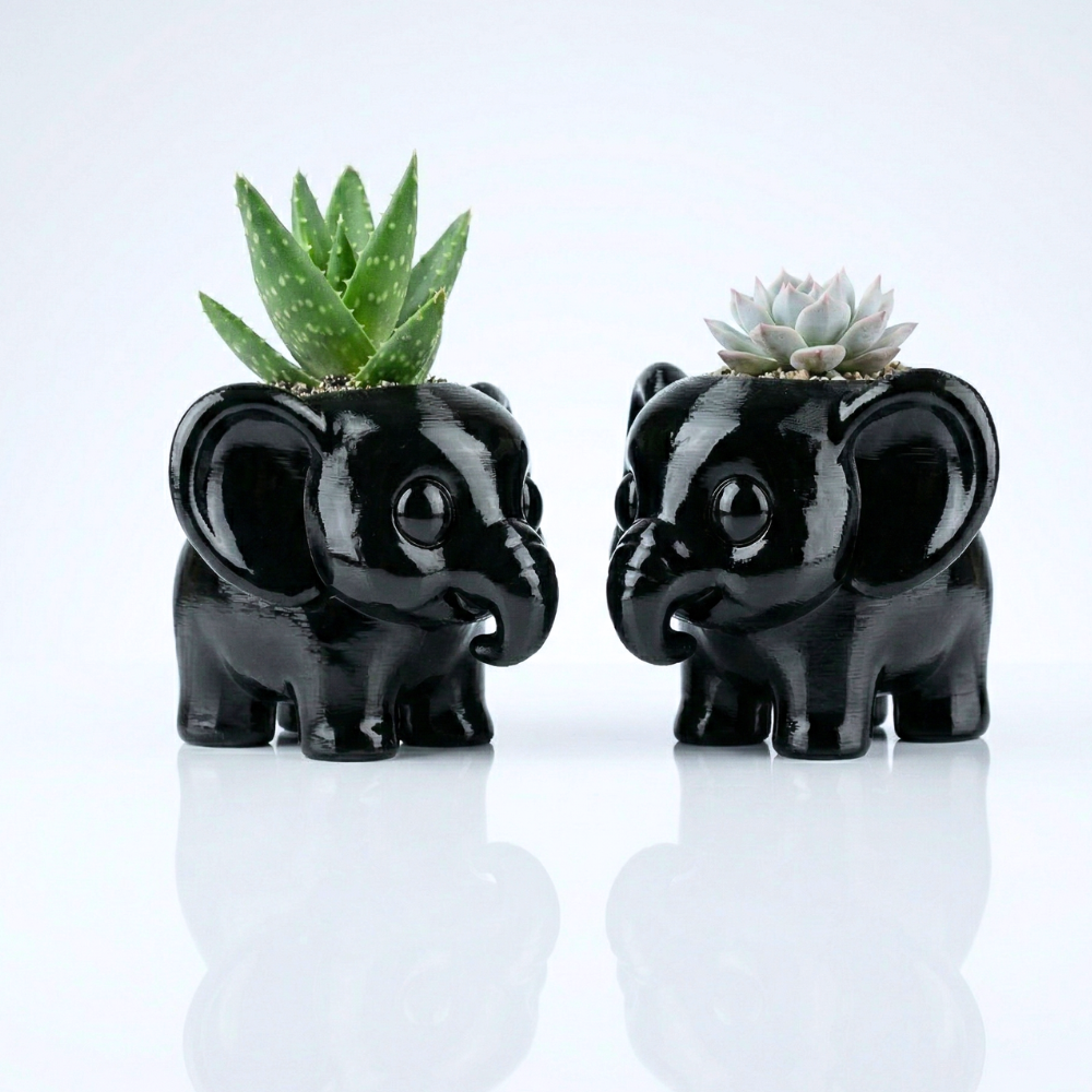 עציץ לסוקולנטים בעיצוב אישי