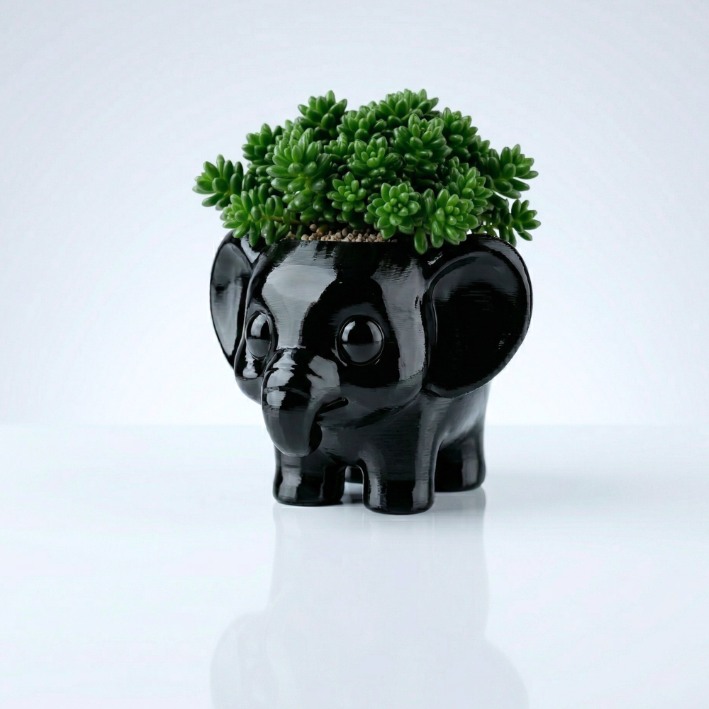 succulent planter